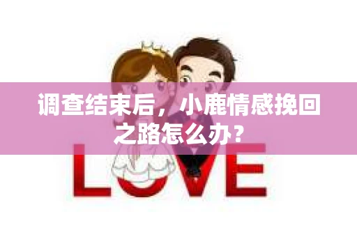调查结束后，小鹿情感挽回之路怎么办？