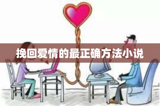 挽回爱情的最正确方法小说