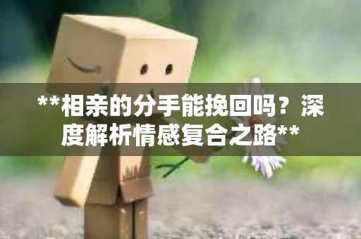 **相亲的分手能挽回吗？深度解析情感复合之路**
