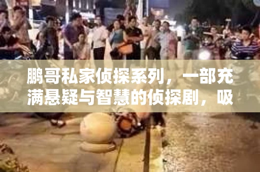 鹏哥私家侦探系列，一部充满悬疑与智慧的侦探剧，吸引了无数观众的眼球。今天，就让我带你走进这个充满神秘色彩的侦探世界，一起在线观看鹏哥私家侦探系列，感受那扣人心弦的故事情节。