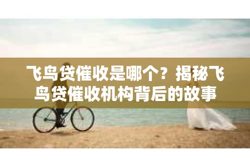 飞鸟贷催收是哪个？揭秘飞鸟贷催收机构背后的故事