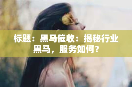 标题：黑马催收：揭秘行业黑马，服务如何？