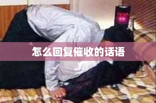 怎么回复催收的话语