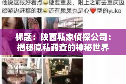 标题：陕西私家侦探公司：揭秘隐私调查的神秘世界