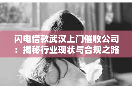 闪电借款武汉上门催收公司：揭秘行业现状与合规之路