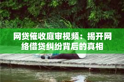 网贷催收庭审视频：揭开网络借贷纠纷背后的真相