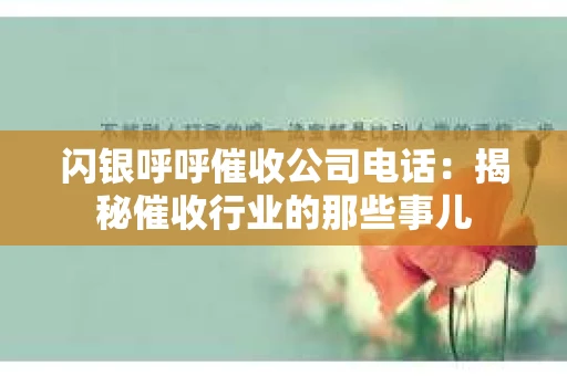 闪银呼呼催收公司电话：揭秘催收行业的那些事儿