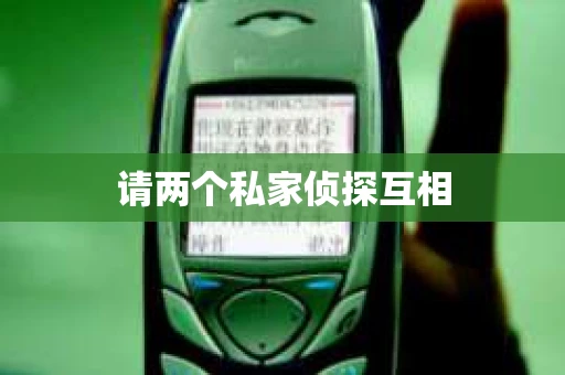 请两个私家侦探互相