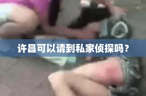 许昌可以请到私家侦探吗？