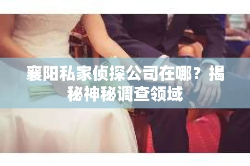 襄阳私家侦探公司在哪？揭秘神秘调查领域