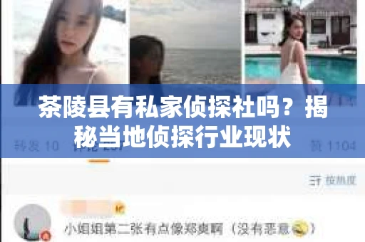 茶陵县有私家侦探社吗？揭秘当地侦探行业现状