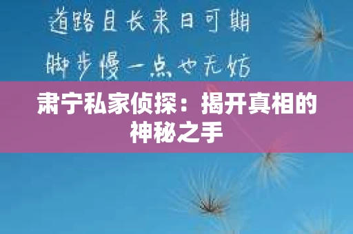 肃宁私家侦探：揭开真相的神秘之手