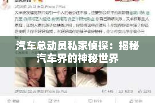 汽车总动员私家侦探：揭秘汽车界的神秘世界
