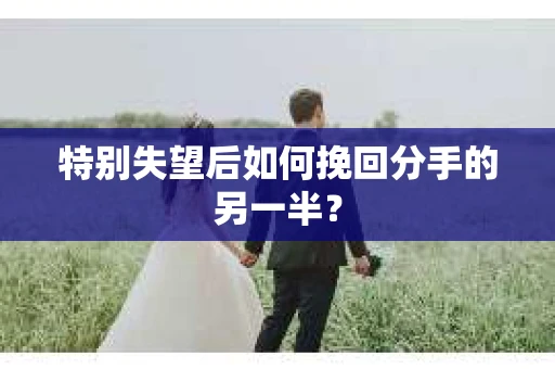 特别失望后如何挽回分手的另一半？