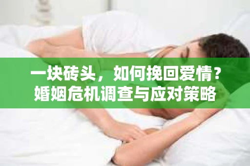 一块砖头，如何挽回爱情？婚姻危机调查与应对策略