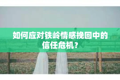 如何应对铁岭情感挽回中的信任危机？